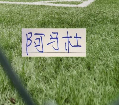 名记,德泽尔比热,刺合同无降,开元体育会员登录入口,开元棋牌官网,开元体育